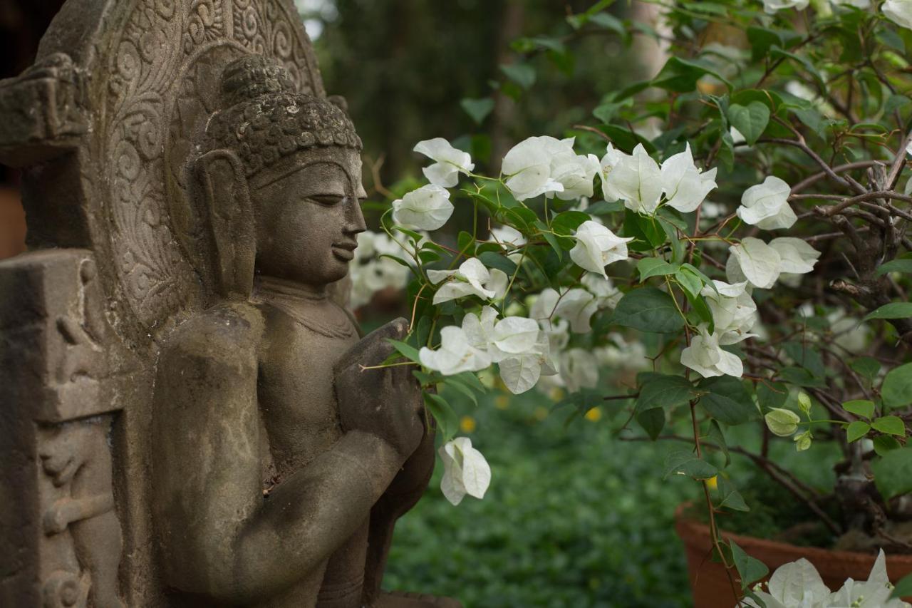 Soma Manaltheeram Ayurveda Beachvillage Kovalam Exteriér fotografie